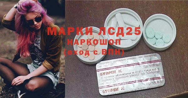 сатива Арсеньев