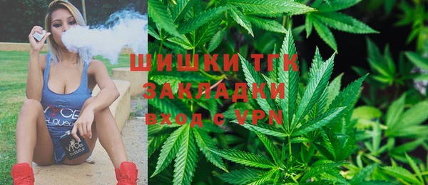 сатива Арсеньев