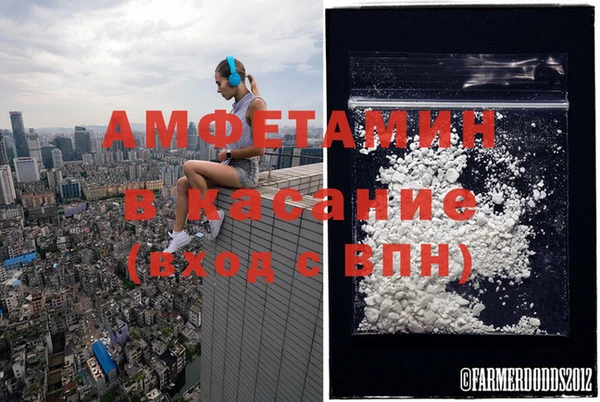 сатива Арсеньев
