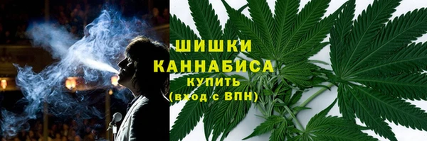 сатива Арсеньев