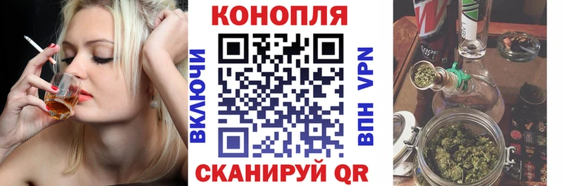 Бошки марихуана OG Kush Каменка